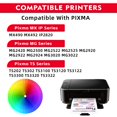 thumbnail image 2 of Cartuchos de tinta V-Surink 245XL negros para Canon 243 Black Ink, 2 of 6