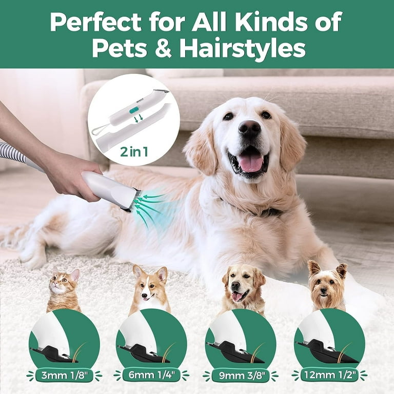 Dog hair cheap grooming tools