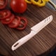thumbnail image 1 of pstuiky Juego de cuchillos de acero inoxidable para fruta para cocina hogar melón pelador portátil para alimentos complementarios para bebés, 1 of 6