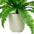 thumbnail image 4 of Northlight Boston Fern Artificial Potted Plant - 24", 4 of 6