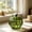 Green, variant on Glass Pumpkin Vase For Flowers Decorative Hydroponic Pumpkin Vase Clear Green Orange Glass Centerpiece Fall Thanksgiving Halloween Home Decor Tabletop Floral Display Seasonal Ornament Gift