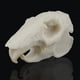 thumbnail image 3 of Accesorios de Resina Modelo de Cráneo de Animal Adorno de Decoración de Paisaje Estatuil de Cueva para Acuario Conejo, 3 of 8