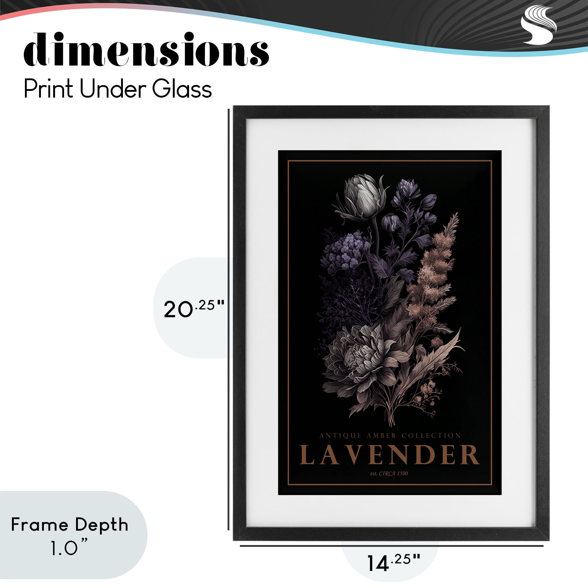 Stupell Industries Antique Lavender Light Black Framed Print Under Glass, design by Chris Giampietro