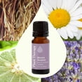 thumbnail image 3 of Plant Therapy Blissful Dreams Essential Oil Blend 10 mL (1/3 oz) 100% Pure, Undiluted, Natural Aromatherapy, 3 of 9