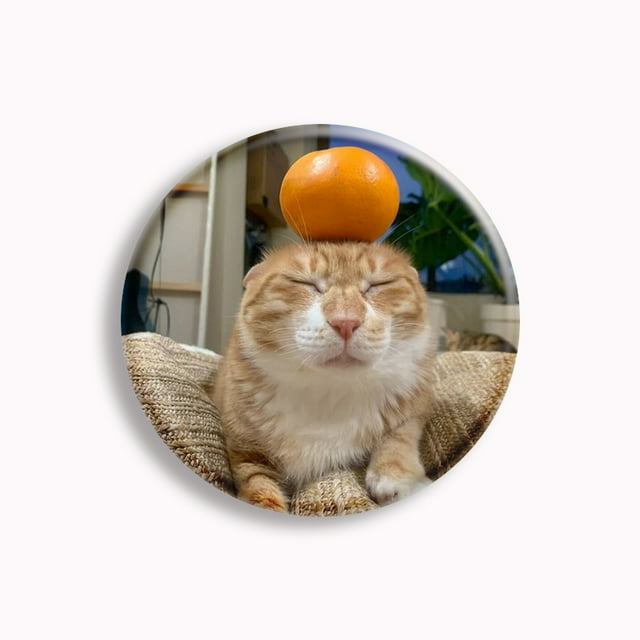 Creative Funny Cat Meme Pink Bow Cats Cooking Button Pin Kawaii Meow Black Cat Memes Brooch Badge Backpack Decor Accessories