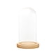 thumbnail image 3 of Cúpula de vidrio transparente Cloche Cubierta de flores Contenedor Adorno de bricolaje Terrario Campana a prueba de polvo Vitrina Cúpula transparente 12cmx18cmx14cm Soledad Cloche de cúpula transparente, 3 of 10