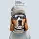 thumbnail image 4 of Gafas de Sol para PERRO, Protección Uv a Prueba de Viento A PRUEBA DE POLVO GAFAS DE PERRO DE MODA LENTE DE PC GAFAS DE MASCOTAS CON CORREA AJUSTABLE O, 4 of 7