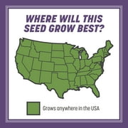 Pennington Smart Seed Dense Shade Grass Seed Mix. 3 lb.
