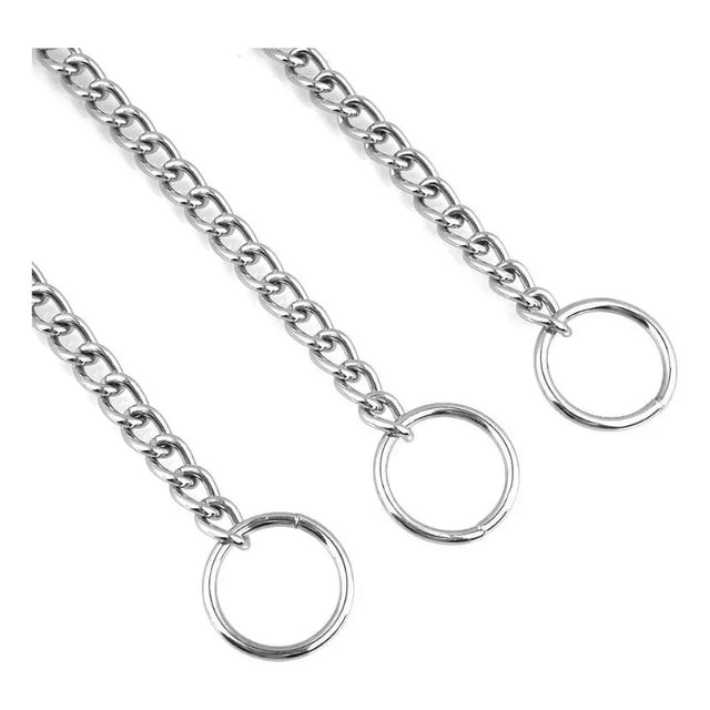 Correa Nylon Y Cadena Para Entrenamiento Perro