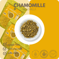 thumbnail image 5 of Green Royalty Chamomile Tea (Manzanilla) 4 oz | Whole Flower Loose Leaf | 100% Natural, Non-GMO | Herbal Relaxation Tea | Makes 30+ Cups | Product of Mexico, 5 of 6