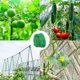 thumbnail image 2 of Red de Enrejado para Plantas Trepadoras 5m x 1,8m Vhermosa, 2 of 5