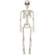 thumbnail image 1 of Figura de esqueleto 3D SkeleDecor 1Pza 100cm Articulado Plástico Hueso., 1 of 1
