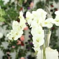 thumbnail image 6 of Efavormart 2PCS 40" Tall Cream Silk Orchid Stems Artificial Flower Stem Real Touch Flower For Wedding Decorations, 6 of 10