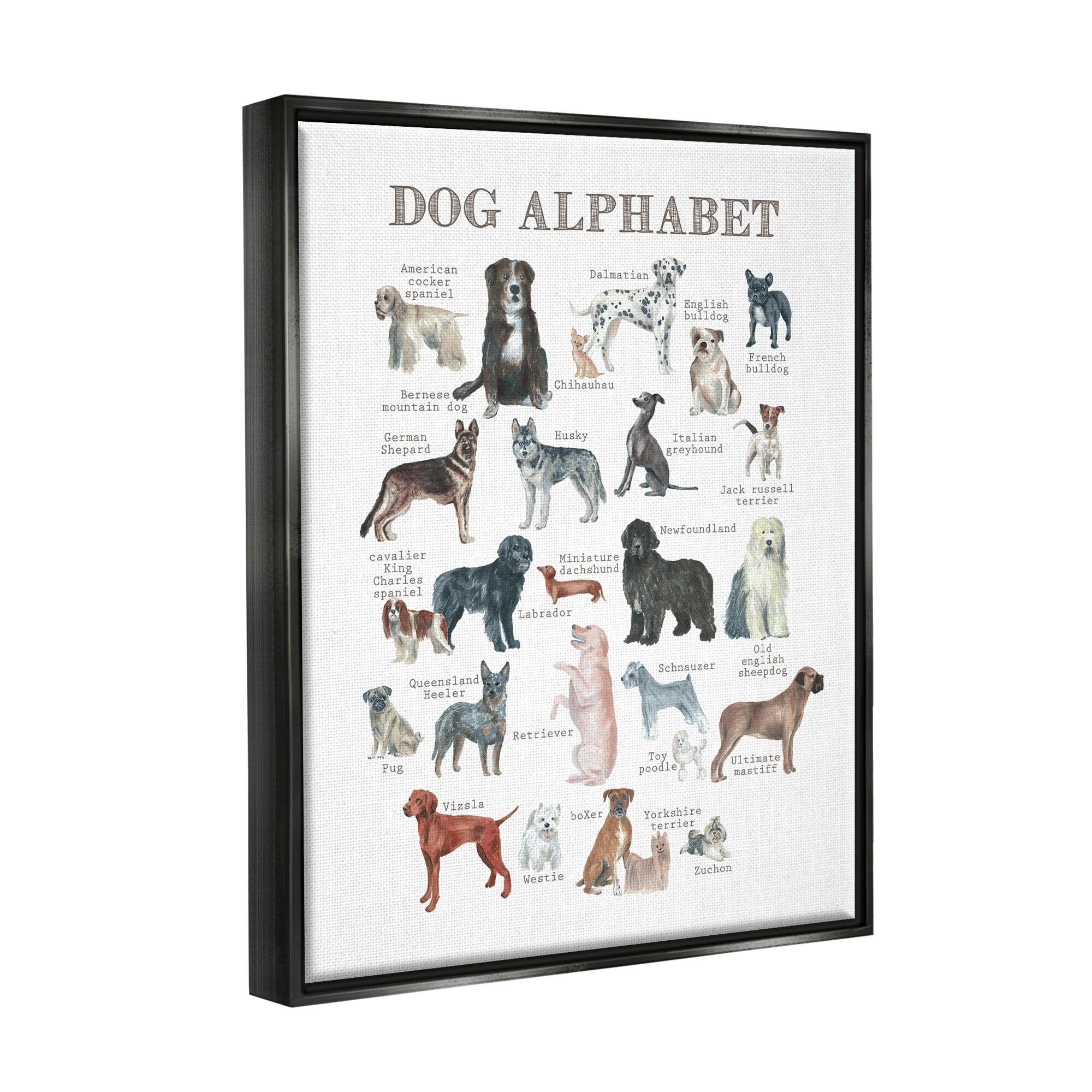 Stupell Industries Dog Alphabet Multiple Breeds Educational Animals Chart Graphic Art Jet Black Floating Framed Canvas Print Wall Art, Design by Dishique