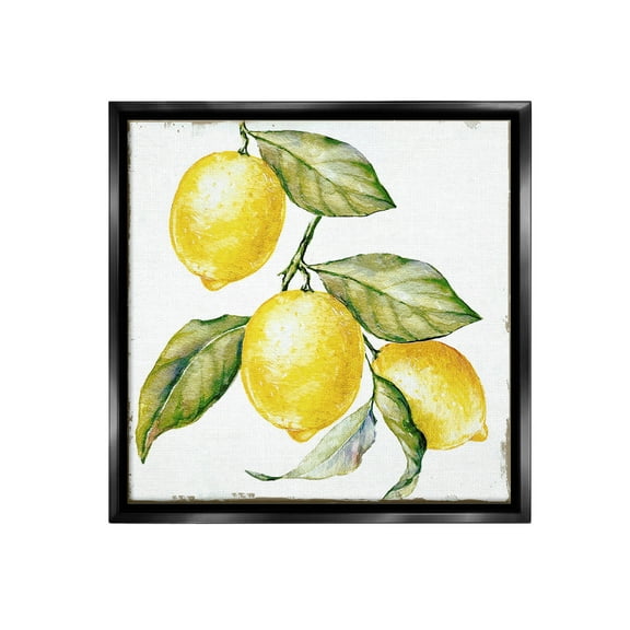 Stupell Industries Rustic Citrus Fruits Food & Beverage Painting Black Floater Framed Canvas Art Print Wall Art, 18 x 18