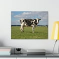 thumbnail image 3 of Majestic Cow Art Majestic Cow Print Animal Wall Art Wildlife Canvas Prints Wall Art Ready to Hang Unframed, 3 of 18