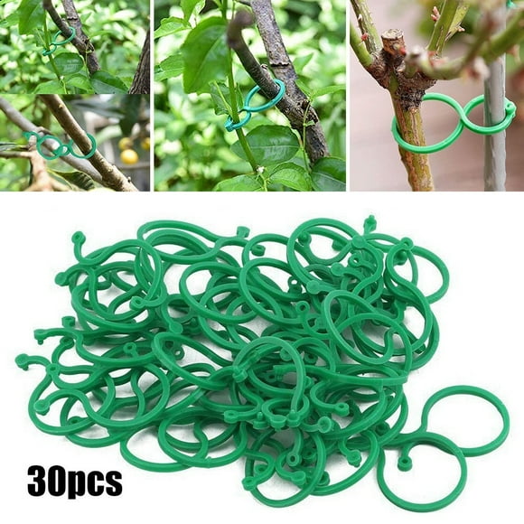 Allume 300 Pcs Jardin Plante Soutenir Tomate Clips Plante Clips Légumes Tomate Vigne Fleur Clips Plante Serrures pour Sécuriser les Plantes Vert