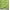 Light Green, variant on Soimoi Blue Cotton Voile Fabric Dash & Arrow Fabric Prints By Yard 42 Inch Wide