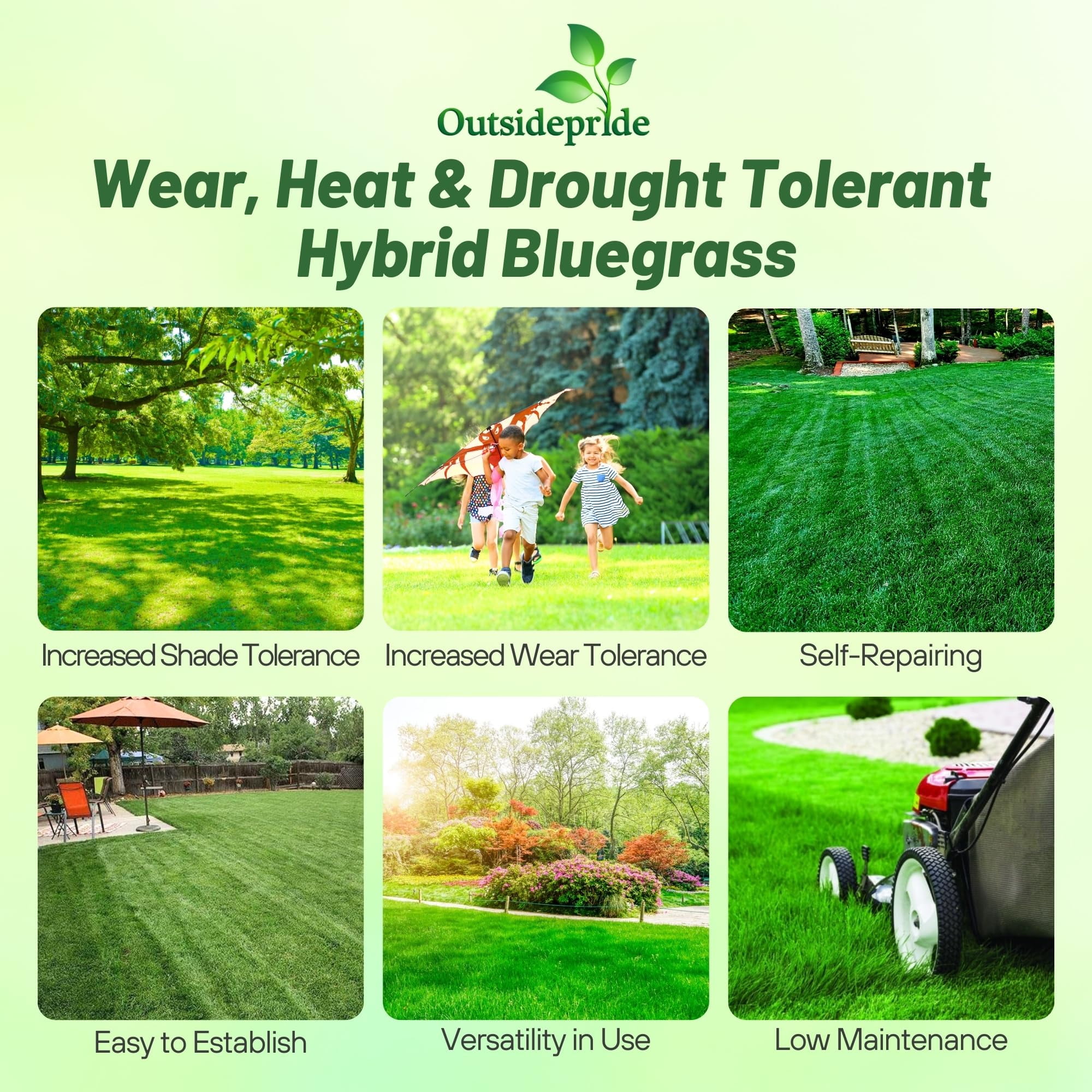 Outsidepride Heat & Drought Tolerant Hybrid Bluegrass Lawn Grass Seed, 10 lbs