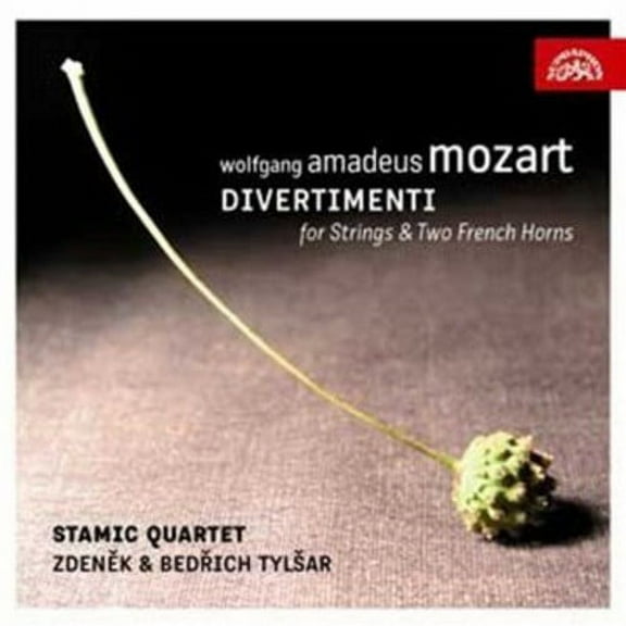 Stamic Quartet - Divertimento for Strings & Two French Horns - Music & Performance - CD