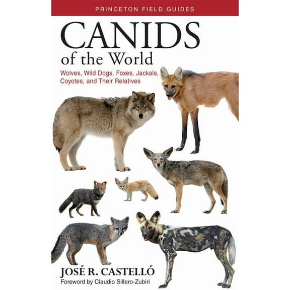 Princeton Field Guides Canids of the World: Wolves, Wild Dogs, Foxes, Jackals, Coyotes, and Their Relatives, Book 116, (Paperback)
