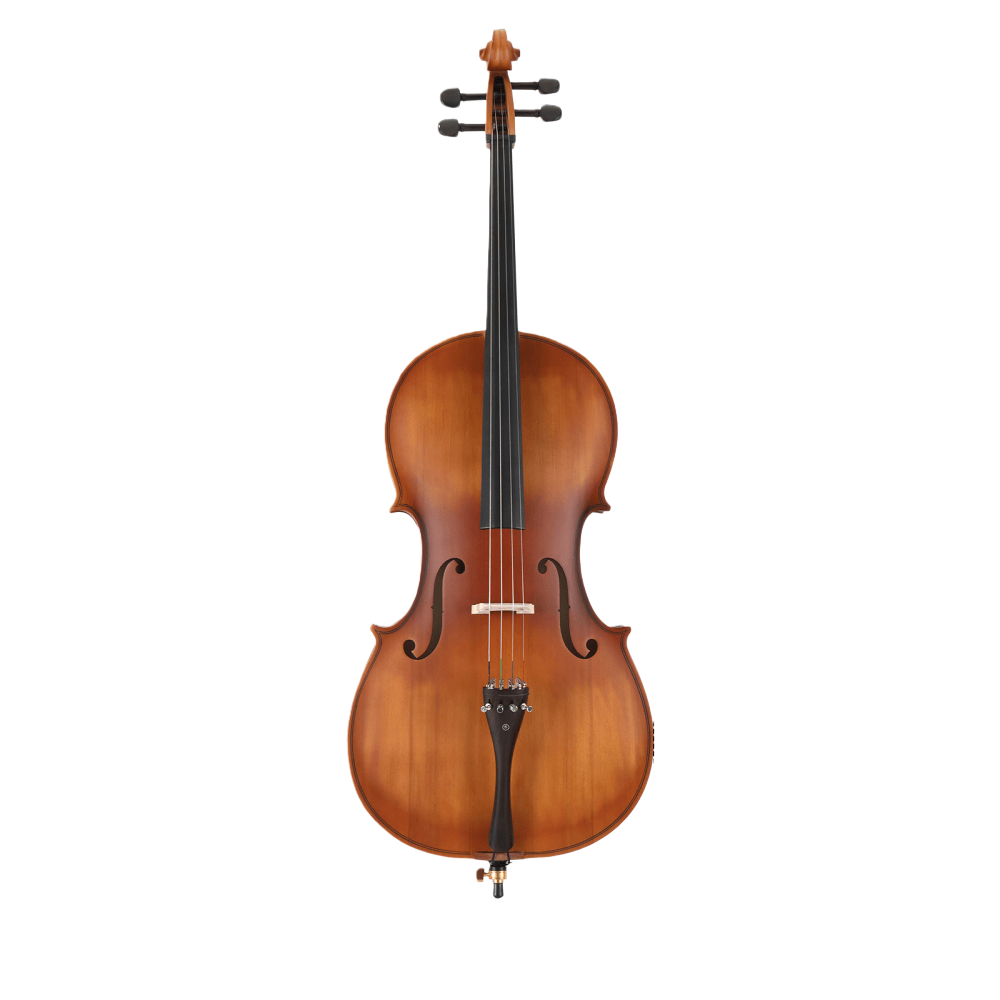 Tcbosik 4/4 Full Size Acoustic Cello with Bag, Bow, Rosin, Bridge and Strings for Beginner, Adult, Matte Natural Color