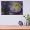 thumbnail image 4 of Luxe Metal Art 'Purple Pansy' by Lori Deiter, Metal Wall Art, 16"x12", 4 of 9