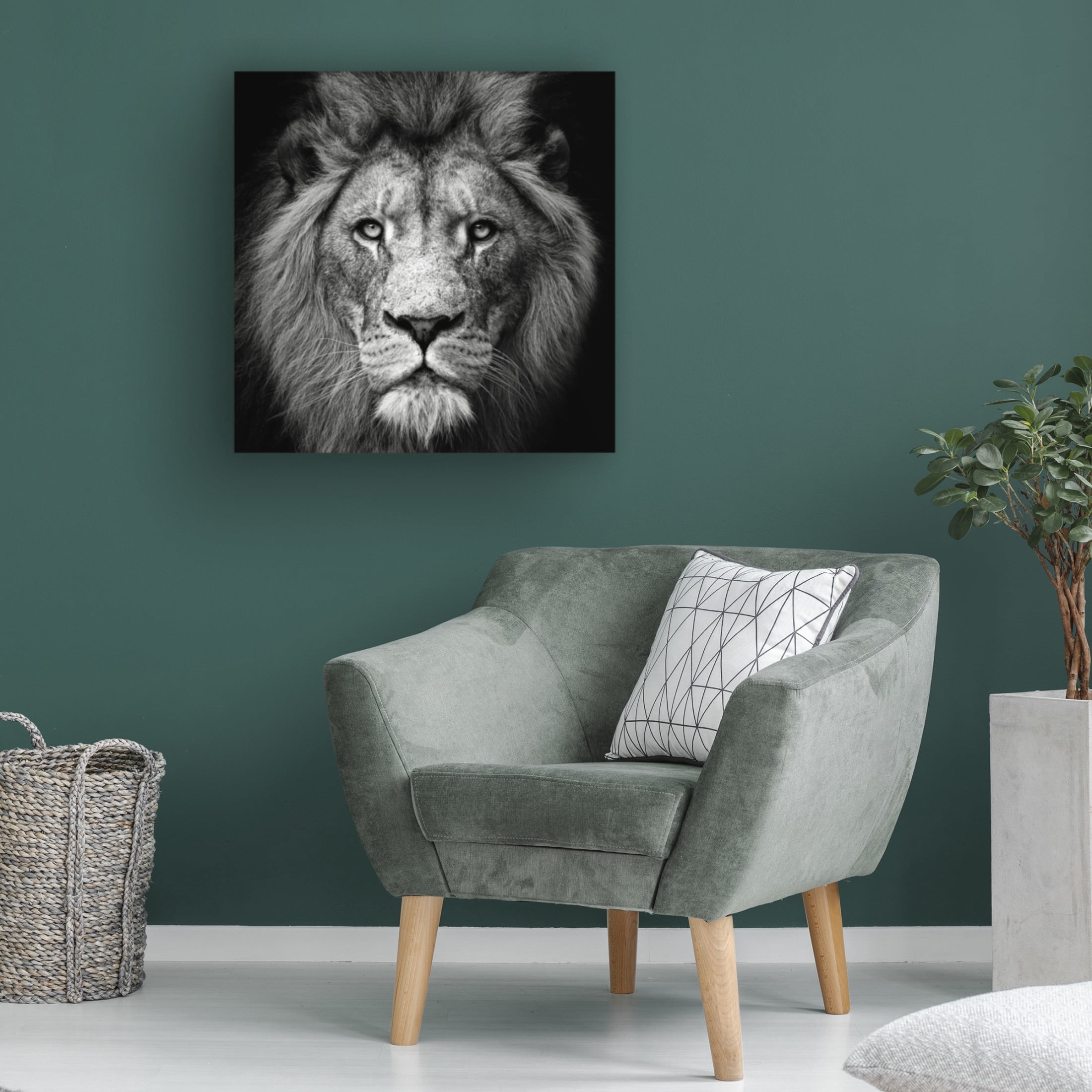 Trademark Fine Art Christian Meermann Stare Me Down 3 Canvas Wall Art
