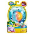 thumbnail image 5 of Little Live Pets, Lil' Turtle Rip Swirl, Interactive Toy Turtle, Ages 4+, 5 of 11