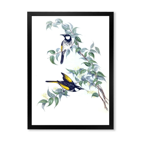 Designart 'Ancient Australian Birds On A Branch' Traditional Framed Art Print