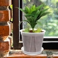 thumbnail image 4 of BERTDOMD 4-Pack Plastic Flower Pots for Garden, Greenhouse , Strawberry Planting Pots, 0.15 Gallon Small Plant Containers, 4 of 6