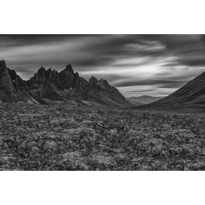 Black and white image of the Tombstone Valley in Tombstone Territorial Park Tombstone Mountain in the distance Yukon Canada Canvas Art - Robert Postma Design Pics (38 x 24)