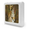 thumbnail image 6 of Plug in Dimmable LED Night Light with Dusk to Dawn Auto Sensor, Adjustable Brightness, Warm Light, Auto On/Off Nightlight for Bathroom, Hallway, Nursery, Bedrooms - Cheetahs, 6 of 7
