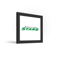 thumbnail image 2 of Gallery Pops NHL Dallas Stars - Wordmark Wall Art, Black Framed Version, 12" x 12", 2 of 5