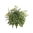 thumbnail image 1 of 16 Pouces Fougère Sauvage Vert Clair (Lot de 6), 1 of 3