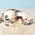 thumbnail image 5 of TIELUTT Cat Bottle Cat Mint Cat Interactive Tug for Dogs Indestructible Large Dogs Interactive Dog for Medium Dogs Dog No Stuffing for Small Dogs Dog Stocking with Freezable Teething for Puppies Smal, 5 of 5