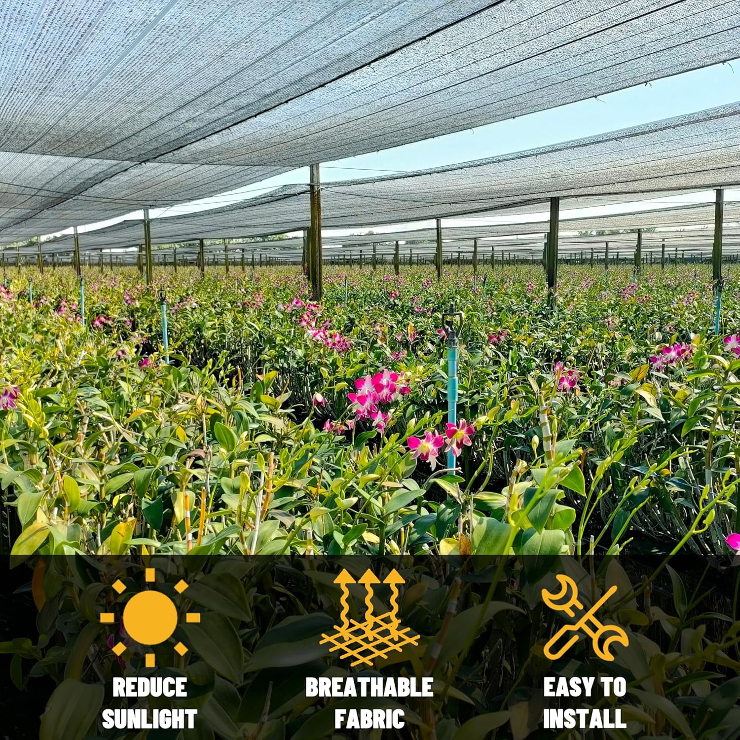 ColourTree 30% Black Shade Cloth 8FT x 10FT Rectangular, UV Resistant with Heavy Duty Grommets for Garden, Greenhouse, Chicken Coop