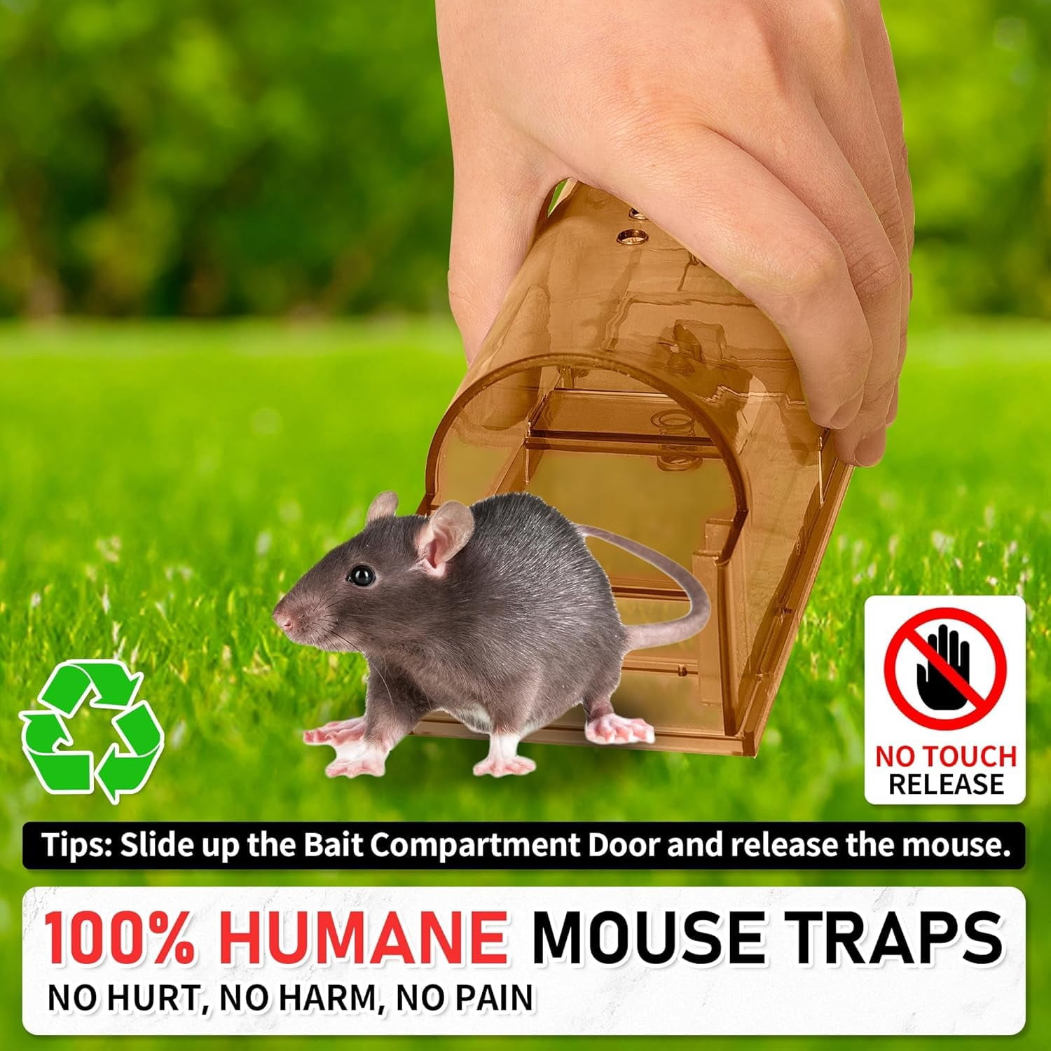 Humane Mouse Traps 6 Pack  No Touch Catch And Release Live Rodent Reusable With Cleaning Brush Pet Safe Indoor Outdoor Control For Mice Rats Chipmunks Voles Brown