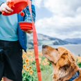 thumbnail image 5 of Doggo Safari Charms - 5 In 1 Dog Leash, Multifunction Pet Leash For Outdoor, 5 of 5