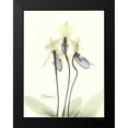 thumbnail image 2 of Koetsier, Albert 12x14 Black Modern Framed Museum Art Print Titled - Lovely Orchids 2, 2 of 5