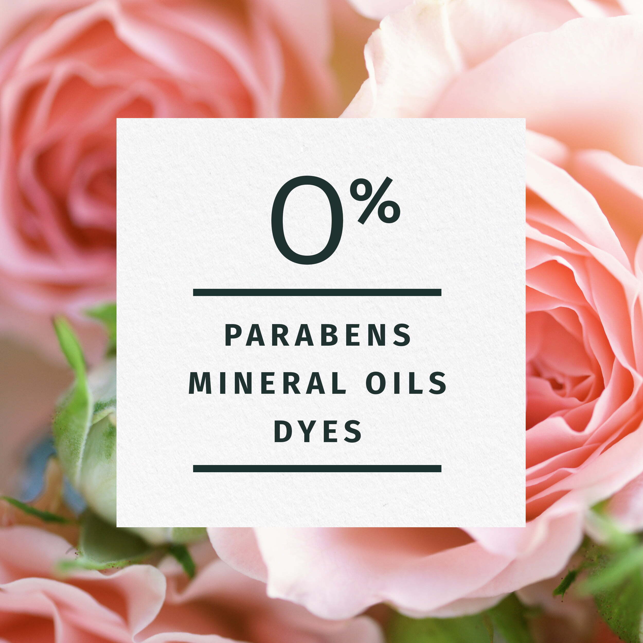 Imagen de producto 5