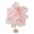thumbnail image 1 of Ostrich Lampe de Table en Plumes, 30 Pcs Plumes 3 Couleurs Gradation Sans Fil Rechargeable par USB Commande Tactile Veilleuse de Bureau, Ampoule de Lampe de Chevet Décorative Moderne Incluse pour Chambre Salon, 1 of 8