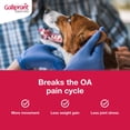 thumbnail image 2 of (30 pack) Galliprant Osteoarthritis Pain & Inflammation Control for Dogs, 60mg, 2 of 6