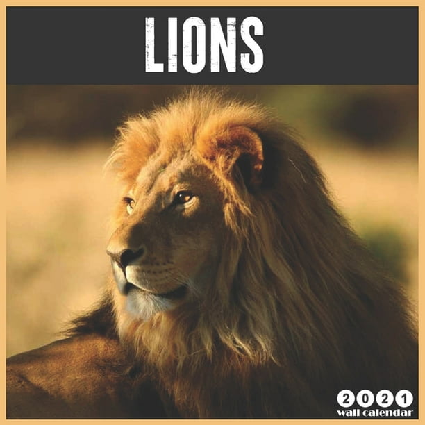 Lions 2021 Wall Calendar: Official Lions Calendar 2021, 18 ...