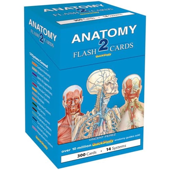 Pre-Owned Anatomy 2 Flash Cards QuickStudy Reference Tool, 9781423232469, 1423232461, Paperback, First Edition edition