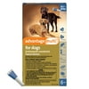 Advantage Multi Topical Solution for Dogs- 55.1-88 lbs (Blue Box), 6 monthly treatments