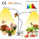 thumbnail image 5 of Bombillas LED de cultivo YONGSHENG 50W E27 2 bombillas espectro completo, 5 of 5