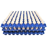 12 Rite Farm Products 90 Egg Plastic Trays Quail Pigeon Dove Bird Flat Carton
