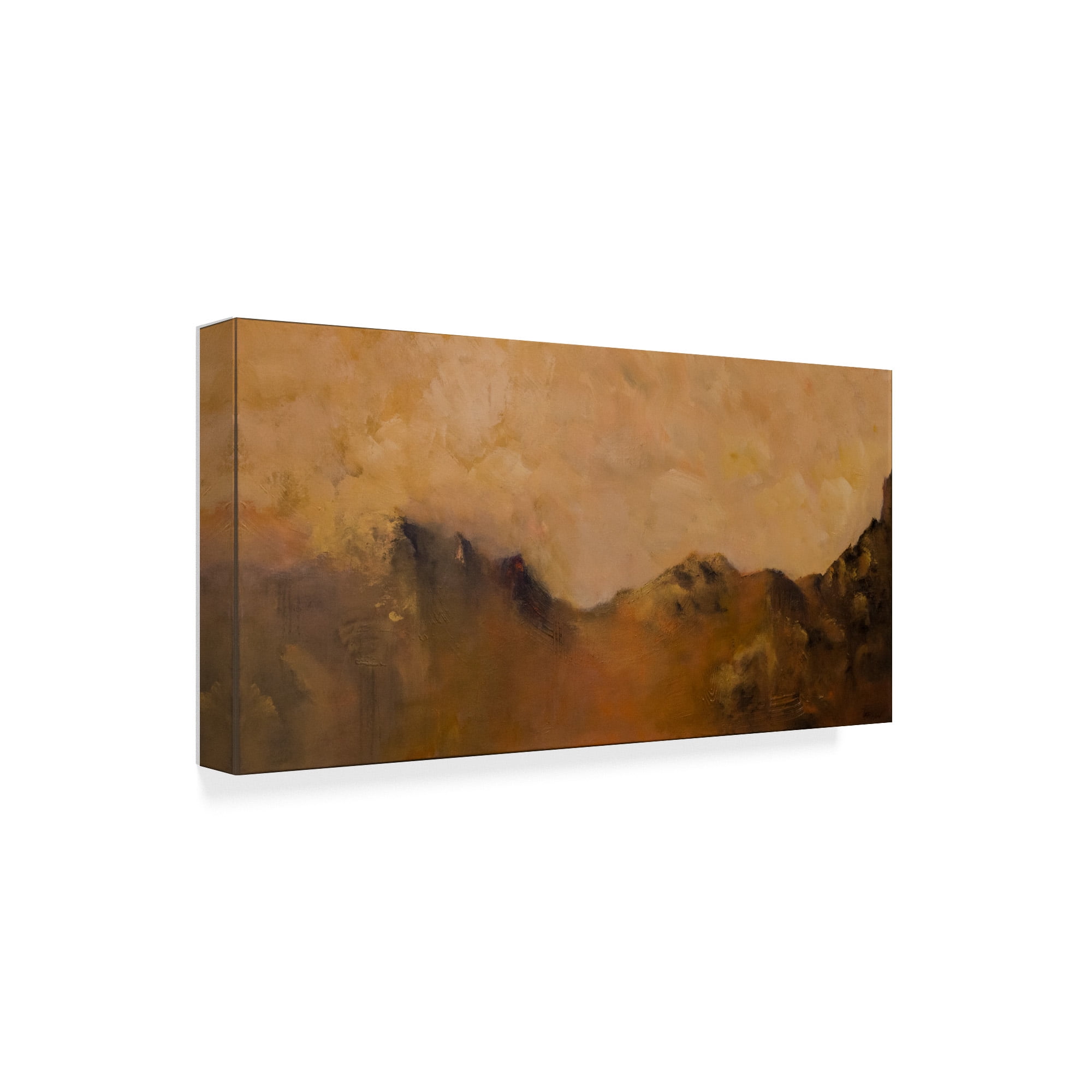 Trademark Fine Art 'Nature's Glow' Canvas Art by Aleta Pippin