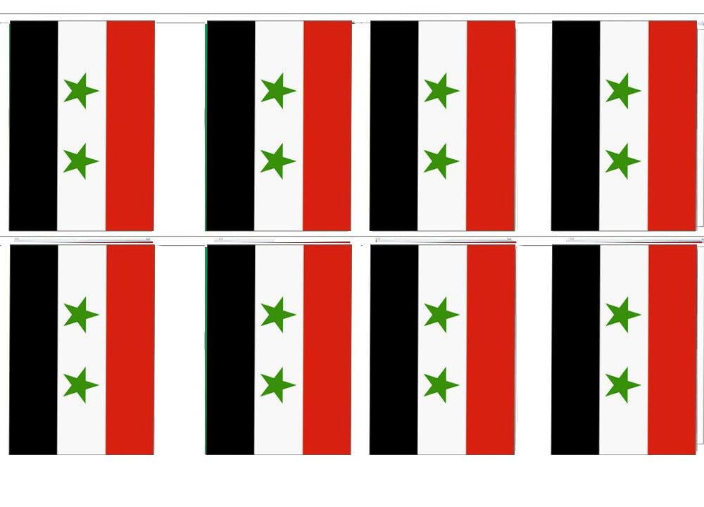 NEW SYRIA 12" X 18" INCH COUNTRY FLAG BANNER ON 2 FOOT WOODEN STICK . 